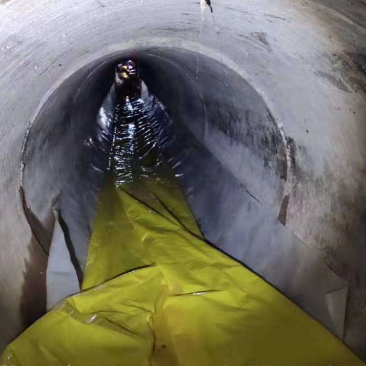 志仲镇管道光固化修复